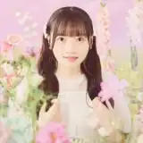 記事のイメージ画像